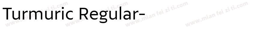 Turmuric Regular字体转换